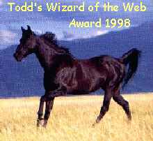 Wizard Of The Web Award