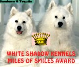 White Shadow Award